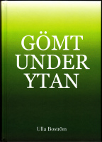 G&ouml;mt under ytan